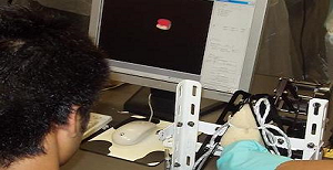 Urology simulator